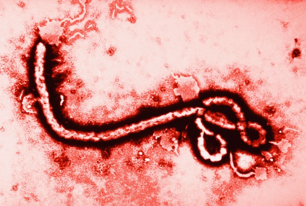 ebola-617x416